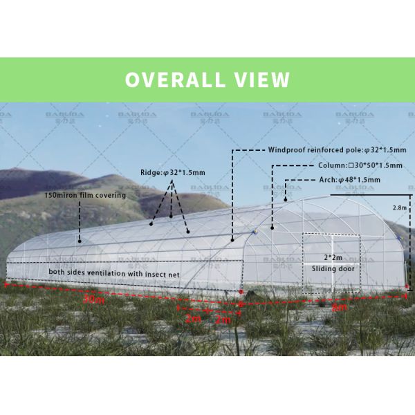 10x50m Polytunnel Berry Poly High Tunnel Greenhouse Film Tunnel Greenhouse Kit