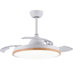 China White 36inch Invisible Blade Ceiling Fan Remote Control Modern Style wholesale