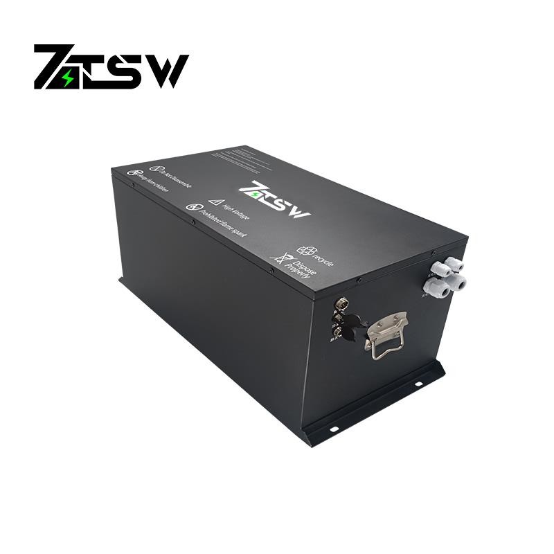 Lithium Ion 48V 100AH LiFePO4 Golf Cart Battery Ultra High Battery Life