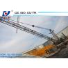 Buy cheap Brand New Derrick Crane WD60 Inverter 2.0t Tip Load 24m Lifting Jib Better from wholesalers