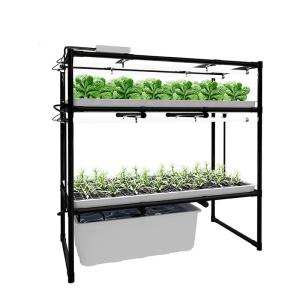 China 600*1200mm Vertical Hydroponic Growing Systems For Salad Greens wholesale
