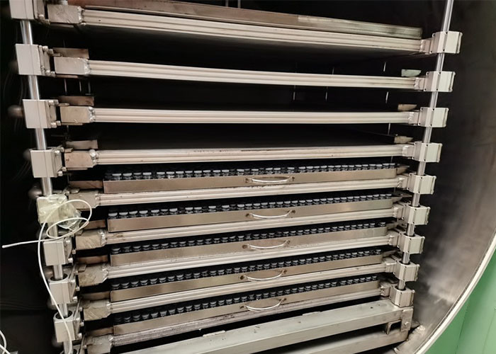 Precise 1000kg Industrial Freeze Dryer Superior Drying Solution for Industrial Products