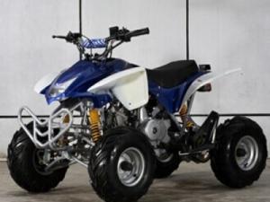 China 110cc Air Cooled Auto Clutch ATV/Quad wholesale