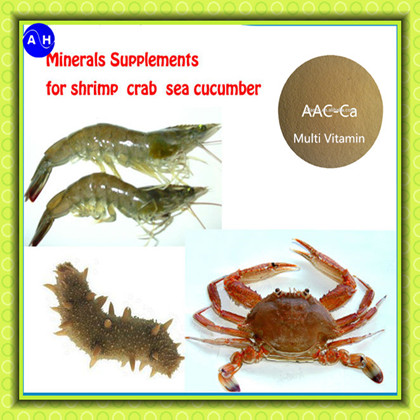 Shell Amino Acid Feed Multi Vitamin Calcium Premix For Shrimp Care