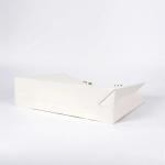 White Varnishing Apparel Paper Bag 190gsm To 350gsm Jewelry Gift Pouches
