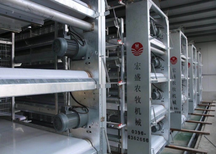 Several Tiers Poultry Farm Feeding System High Elasticity Reduce Deformation