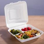 Eco Friendly Sugarcane Bagasse Clamshell Biodegradable Take Away Food Packaging
