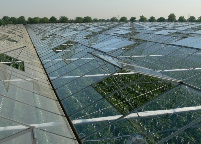Farming Venlo Aluminum Frame Glass Greenhouse For Agriculture Growing