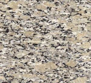 China China Autumn Yellow Granite Polished, Natural Yellow Granite wholesale