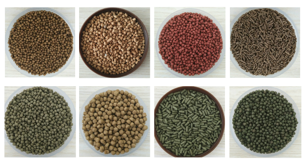 Automatic Advanced Technology Fish Feed Production Line for Improved Feed Conversion