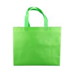 Eco Friendly Promotional Non Woven Shopping Bags 50gsm Green Non Woven Shoe Bag