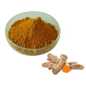 China Natural Curcumin 95% Turmeric Extract Powder For Healthcare Supplement wholesale