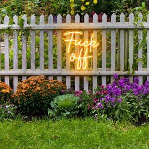 China 8mm PS Board Acrylic Neon Lighted Sign 50cm IP67 Balcony wholesale