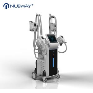 China September promotion 4 handles Cryolipolysis new design slimming machine wholesale