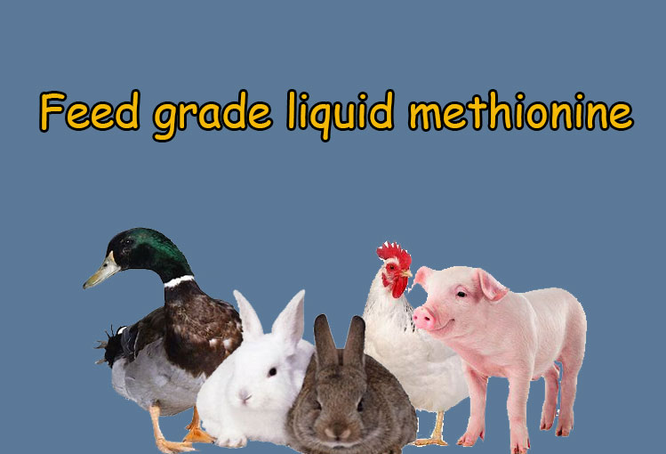 Ammonium Salt 1.5% Methionine 88% Amino Acid Liquid for Promoting Optimal Feed Nutrition