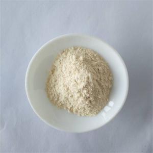 China 10:1 dried garcinia cambogia for lose weight fast wholesale