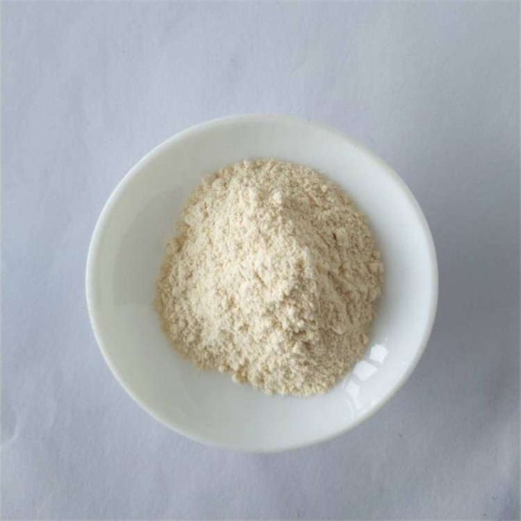 10:1 wholesale garcinia cambogia in bulk