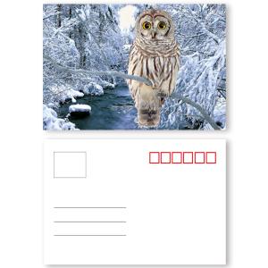 China Custom Restaurant Animation 0.35mm 3D Lenticular Card wholesale