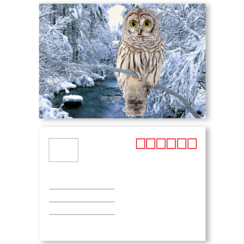 PET 3d Lenticular Prints Card Plastic Printing Card 3D / Flip Effect
