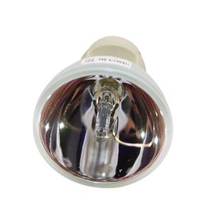 China DWU550 Christie Projector Lamps wholesale