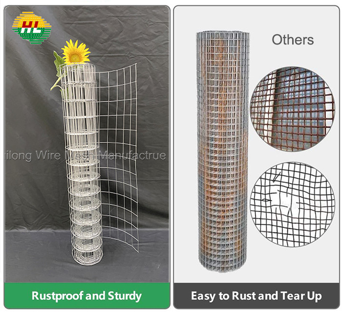 All Ral Color Pvc Coated 1x1inch 18 Gauge Welded Wire Mesh 50ft
