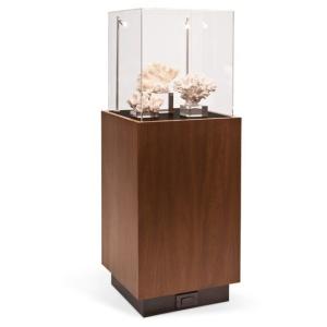 China Modern Simple Wood Glass Showcase Cabinet Jewelry Store Fixtures For Shopping Mall wholesale