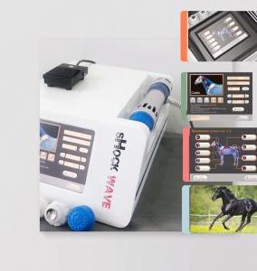 China Camel Relief Pain 240V Shockwave Therapy Device wholesale