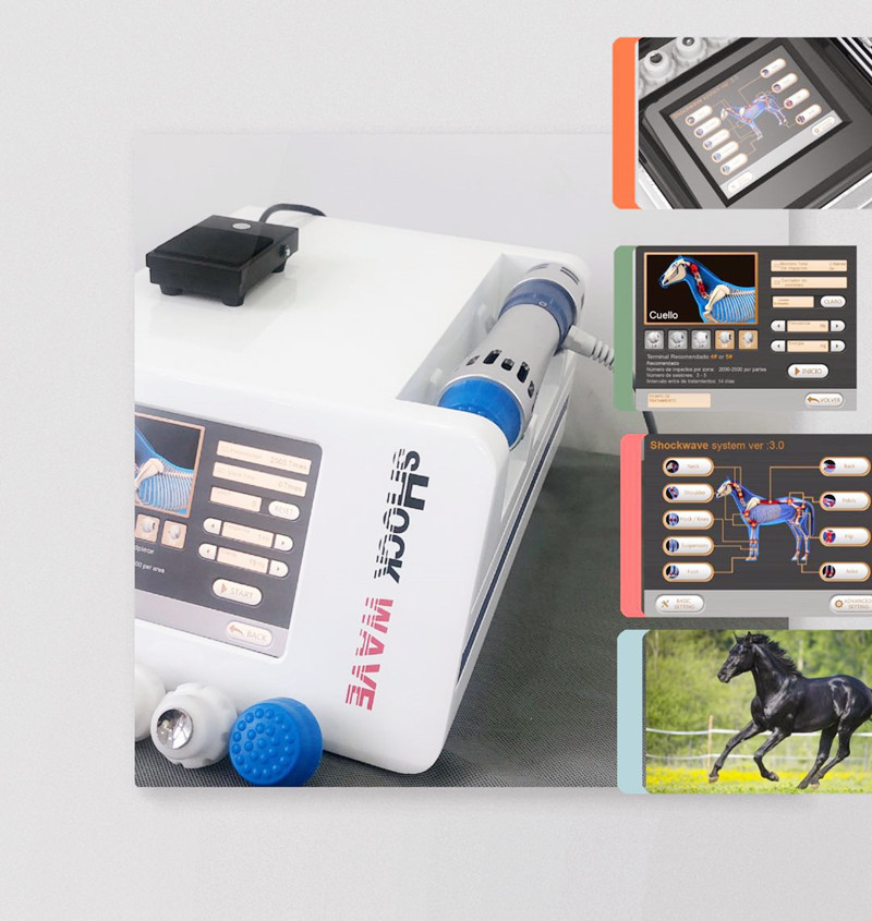 Veterinary Shockwave Therapy Machine For Racing Horse