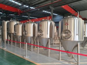 China 20BBL Microbrewery 20HL Brewery Fermentation Tanks on sale