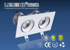 China Double Heads LED Downlight wholesale
