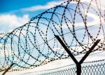 chain wire fence gate for sale