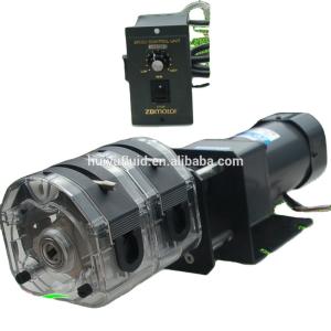 China 220v AC variable speed KZ25 OEM peristaltic pump wholesale
