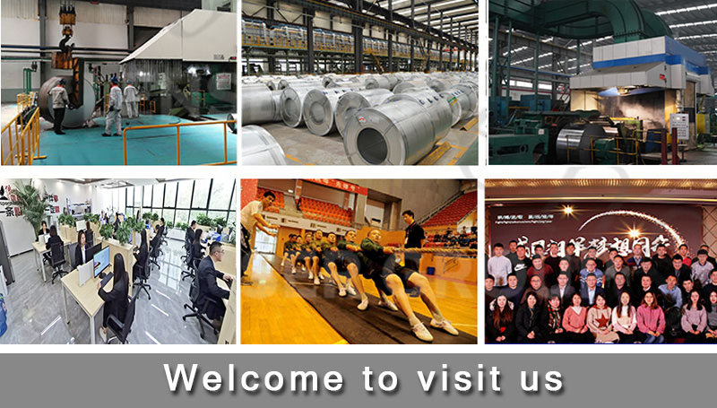 HS Code Galvanized Steel Coil 2000mm - 12000mm Galvanized Sheet Coil