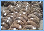 Electro Galvanized Galvanized Tie Wire BWG 22 Binding Construction Materials