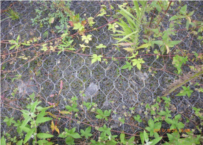 Huacheng Black Reinforced Mike Mat Pads