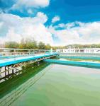 Water Cleaning Cationic Polyacrylamide Chemicals Powder PAM Industrial Water