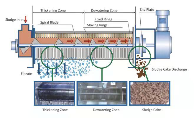 Customizable Capacity Screw Press Dehydrator for Oily Waste Water Treatment 100 kg