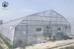 Hot Dip Galvanized Pipe High Tunnel Greenhouse Customizable Agriculture