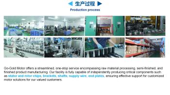 Shenzhen Go-Gold Motor Co., Ltd.