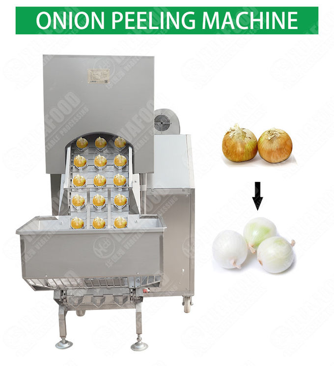SUS304 1.0MPa 3000kg/H Washing Onion Peeling Machine