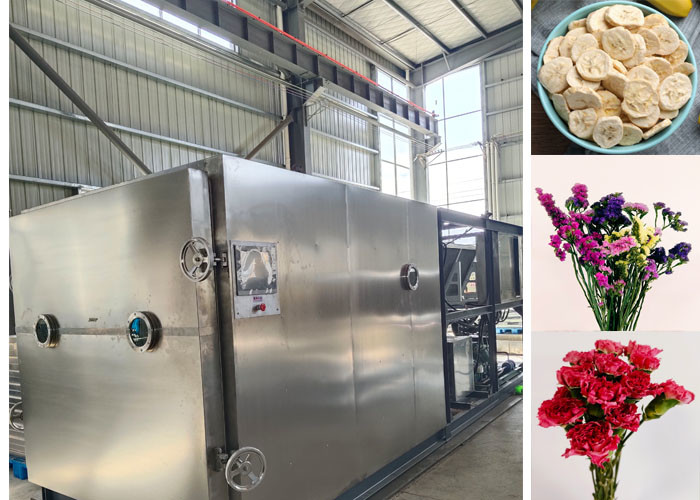 Food Vacuum Freeze Dryer For Precise Control And Consistent Drying Of Instant Noodles