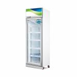 Supermarket Vertical Ice Cream Refrigerator Glass Door Meat Display Freezer