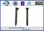 Standard Plain Railroad Track Spike Dog Screw Spikes Carbon Steel 4.6 Grade