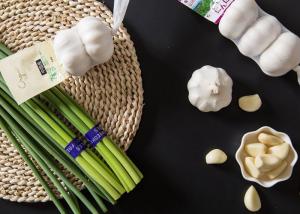 China Edible Garlic Sprouting Green Safe To Eat wholesale