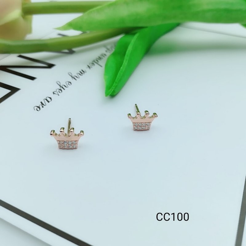 2018 New Style stud earrings Beautiful Silver Earrings For Women XW125