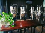 500 Litre Small Brewery Equipment , Brewpub Copper Beer Brewing Equipment