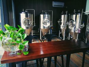 China 500 Litre Small Brewery Equipment , Brewpub Copper Beer Brewing Equipment wholesale