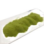 500ppm Pure Gibberellin Seaweed plant extract for Soil Regeneration