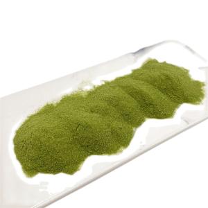 China Total Water Soluble Seaweed Extract Polysaccharide Fertilizer 45% Organic Matter wholesale