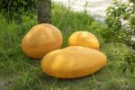 Simulated Glowing Stone LED Outdoor Landscape Lamps Waterproof Pebble Low